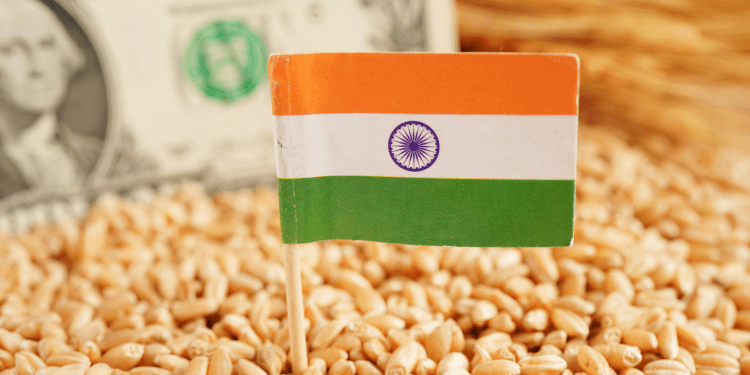 5 Best Forex Brokers in India in 2025